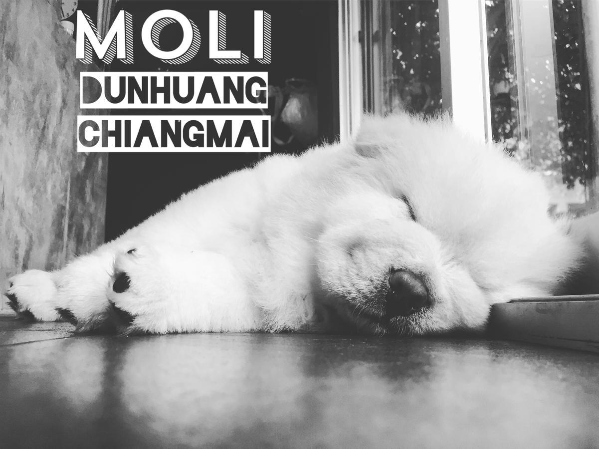 Chiangmai Moli Inn (Adults Only) Csiangmaj Kültér fotó