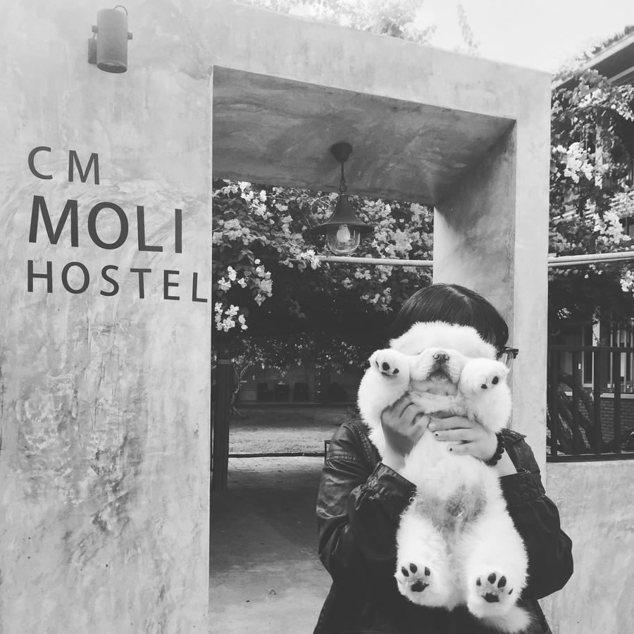 Chiangmai Moli Inn (Adults Only) Csiangmaj Kültér fotó