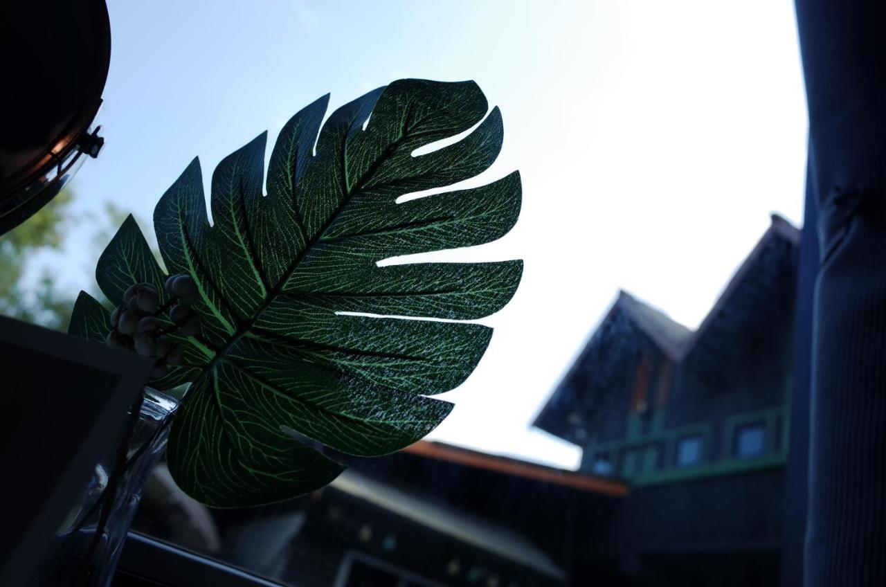 Chiangmai Moli Inn (Adults Only) Csiangmaj Kültér fotó